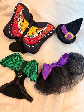 Small Pet Butterfly, Dragon, & Witch Costume Set
